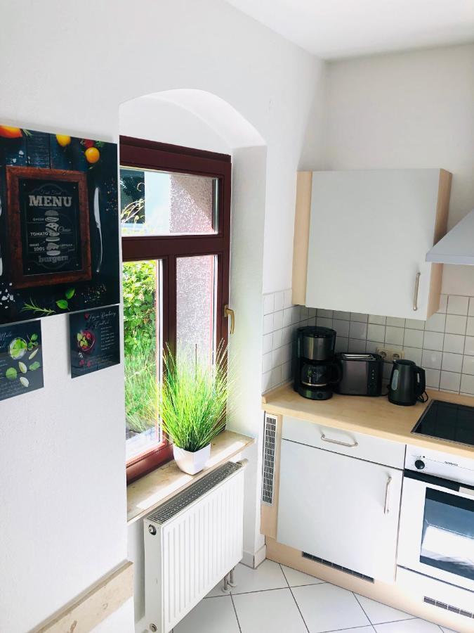 Ferienwohnungen Mit Terrasse In Zwingernaehe - Hilger Rentals Dresde Extérieur photo